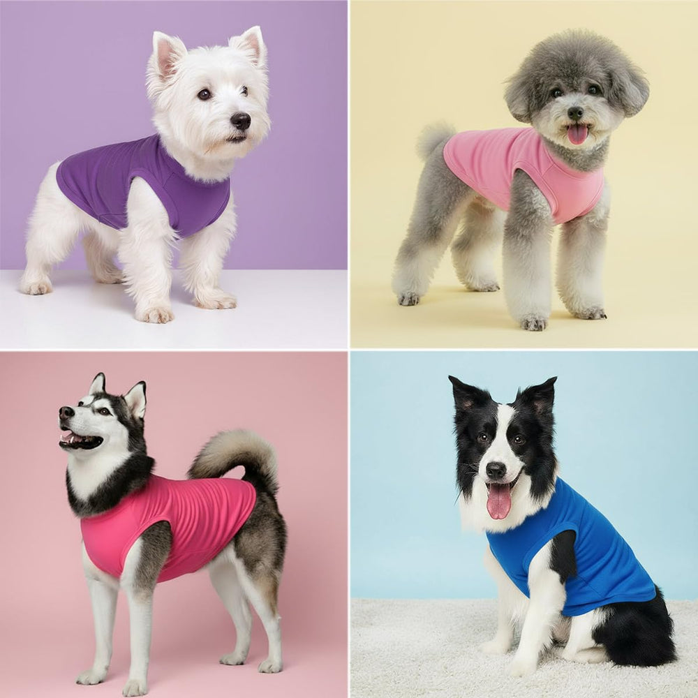Chol&Vivi camiseta morada para perros, libertad de movimiento durante el juego.