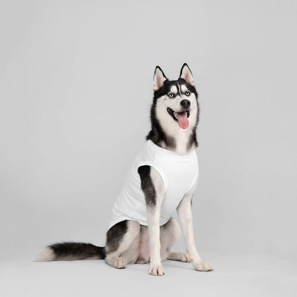 Camiseta Chol&Vivi para perro grande verde oscuro: colores versátiles para combinar.