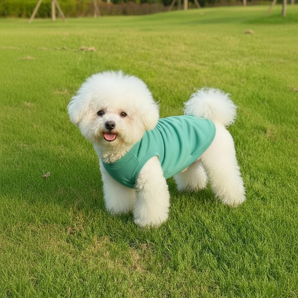 Chol&Vivi Camiseta para perro rosa: diseño cómodo para uso diario.