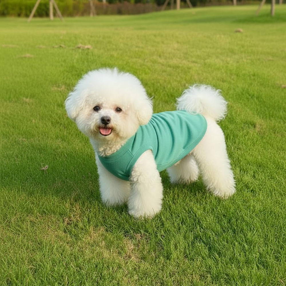Chol&Vivi Camiseta para perro rosa: diseño cómodo para uso diario.