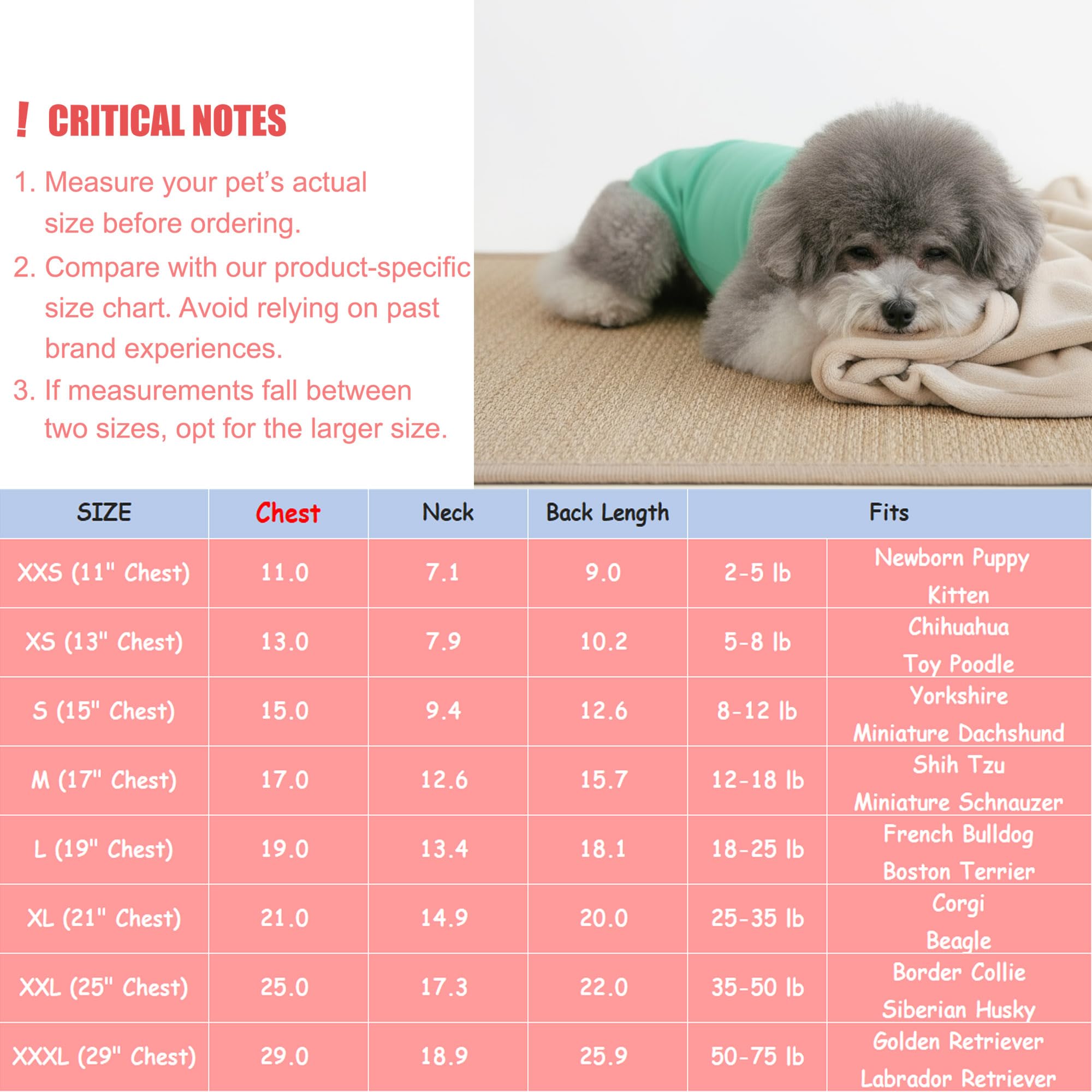 Chol&Vivi camiseta-perro talla-XXL, ideal para razas grandes sin restringir movimiento.