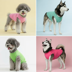 Chol&Vivi Camiseta para perro verde: ligereza para entrenamientos y paseos.