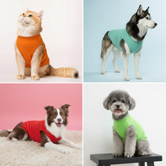 Camiseta Chol&amp;Vivi para perro grande verde claro, ideal para días soleados.