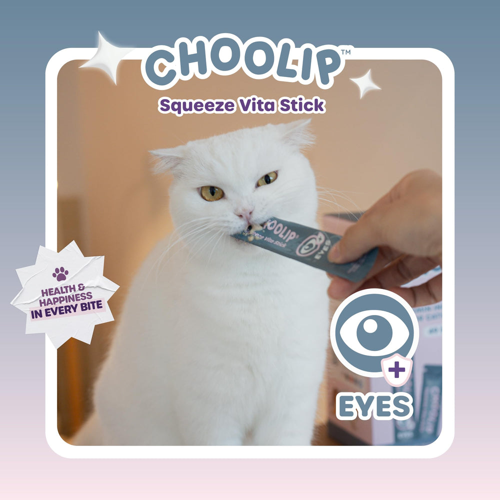 Choolip envase con 7 sobres para uso diario.