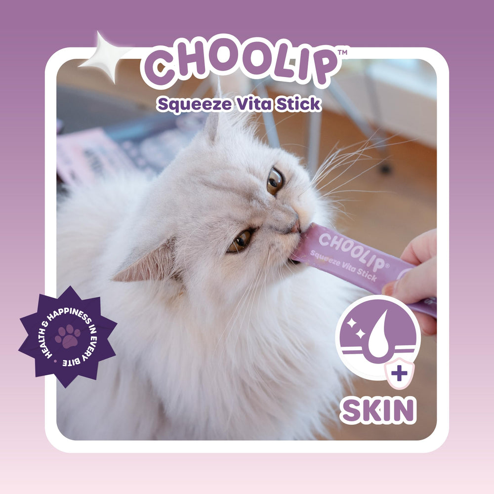 Choolip palito apto para todas las etapas de vida.