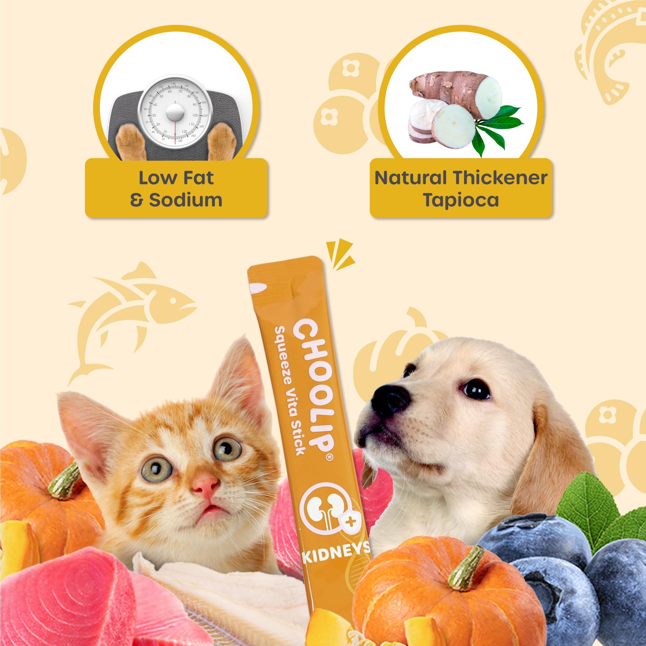 Choolip Squeeze Vita Stick, con CoQ10 para apoyo energético.