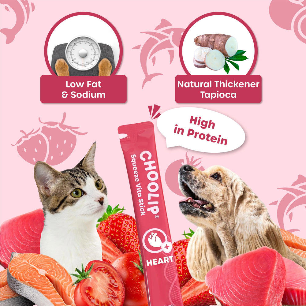 Choolip Squeeze Vita Stick: L-Carnitina y CoQ10 para nutrir el perfil nutricional durante el día.