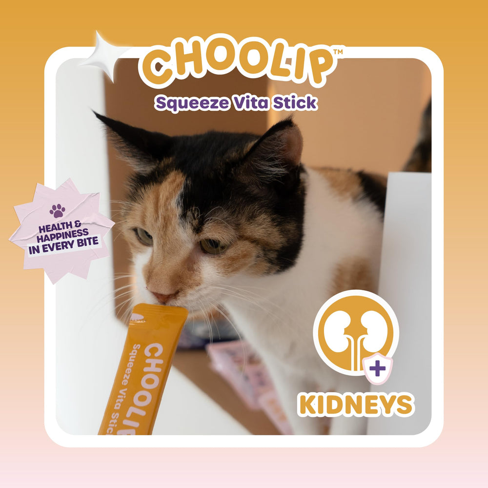 Choolip Squeeze Vita Stick, sin granos para estómago sensible.