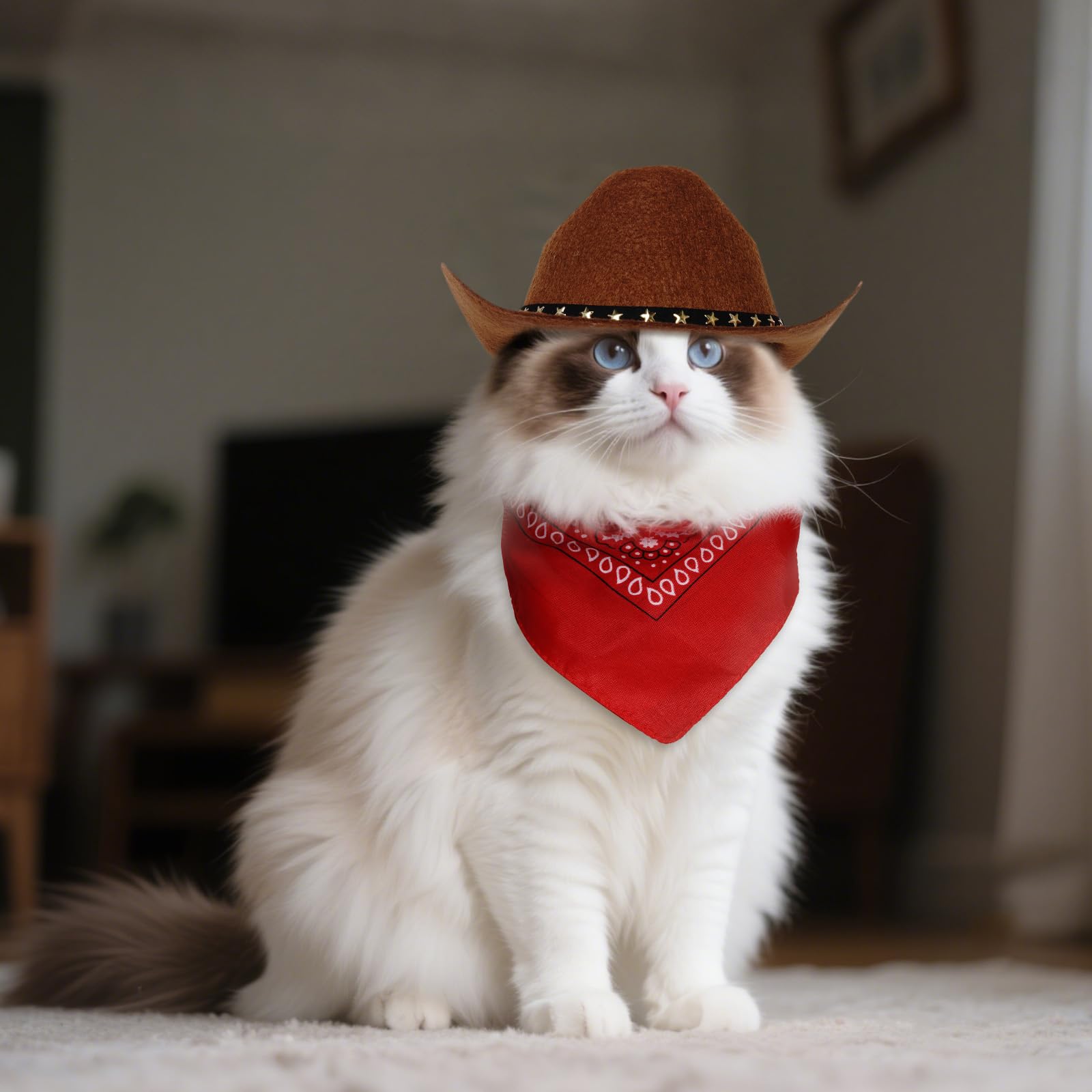 Choyaxo conjunto disfraz para cosplay de mascotas fotogénico.