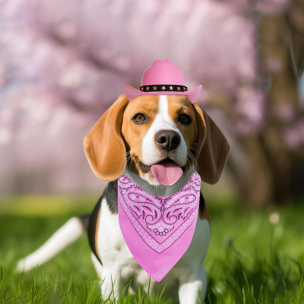 Conjunto vaquero rosa de choyaxo para mascotas, ideal para fiestas