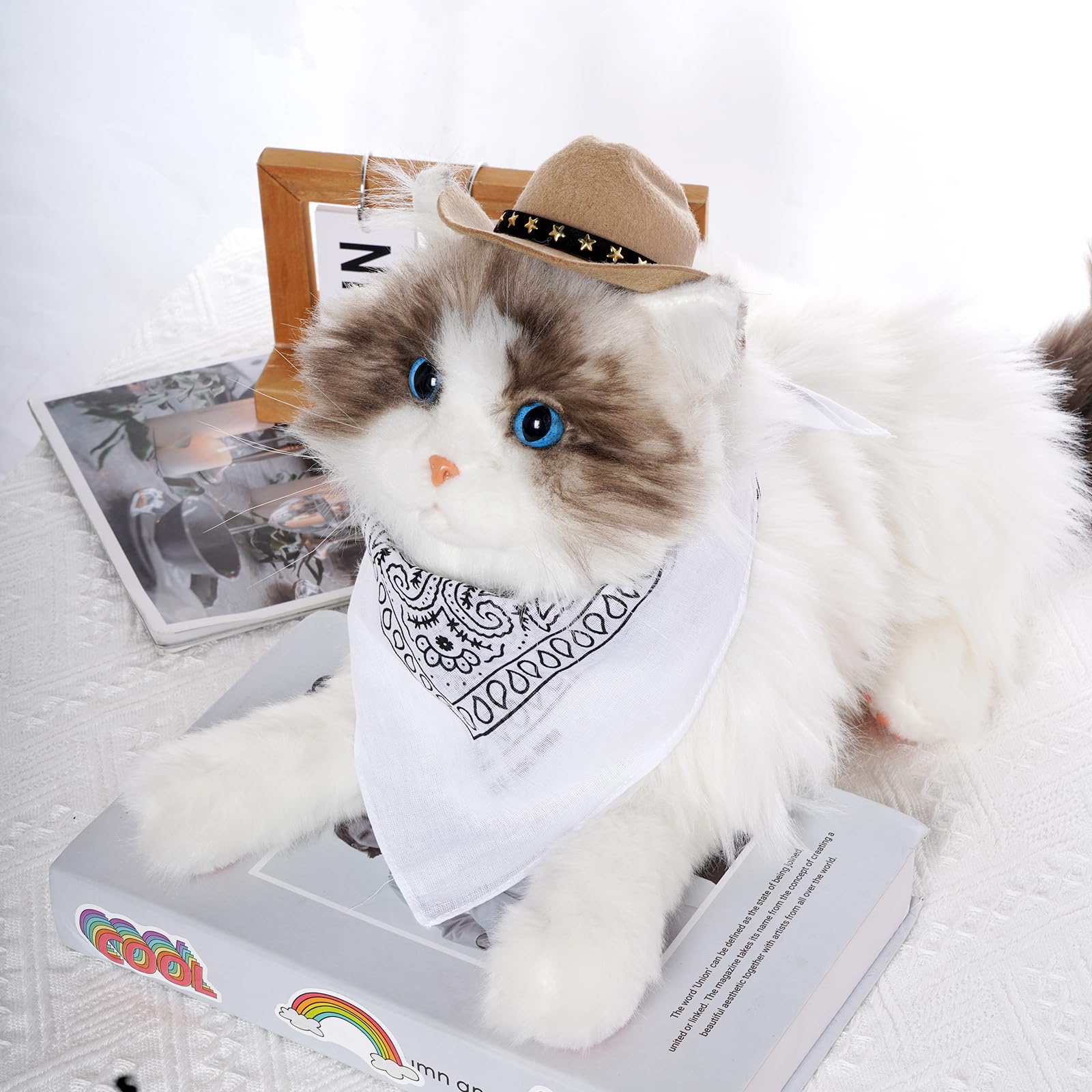 Choyaxo disfraz para mascota ideal para Halloween y fiestas