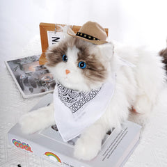 Choyaxo disfraz para mascota ideal para Halloween y fiestas