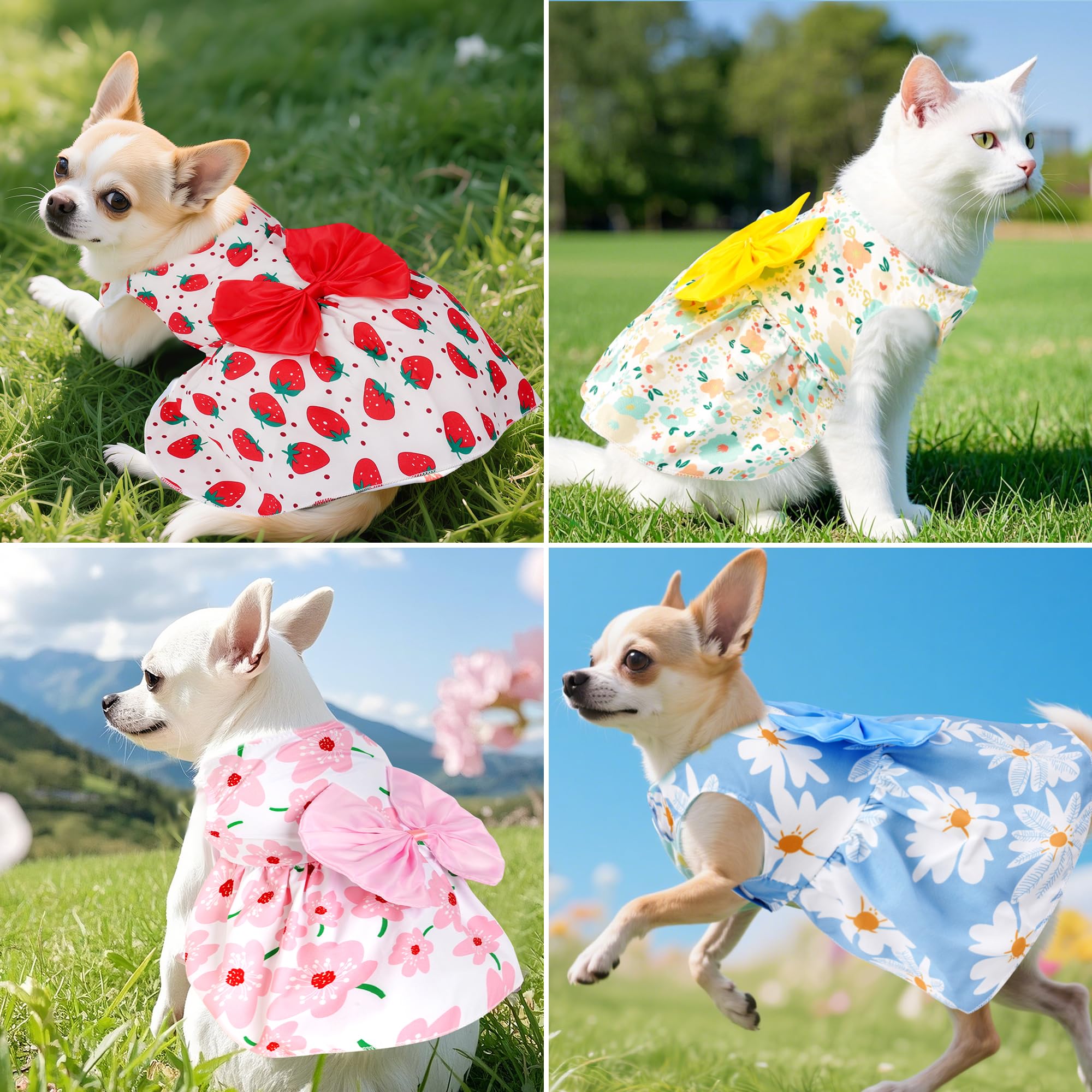 Look floral de Choyaxo para perro: ideal para fotos y celebraciones.