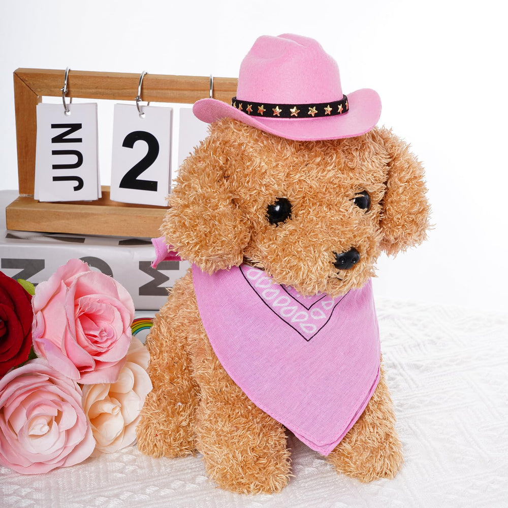 Tallas S, M y L de sombrero vaquero para perros y gatos