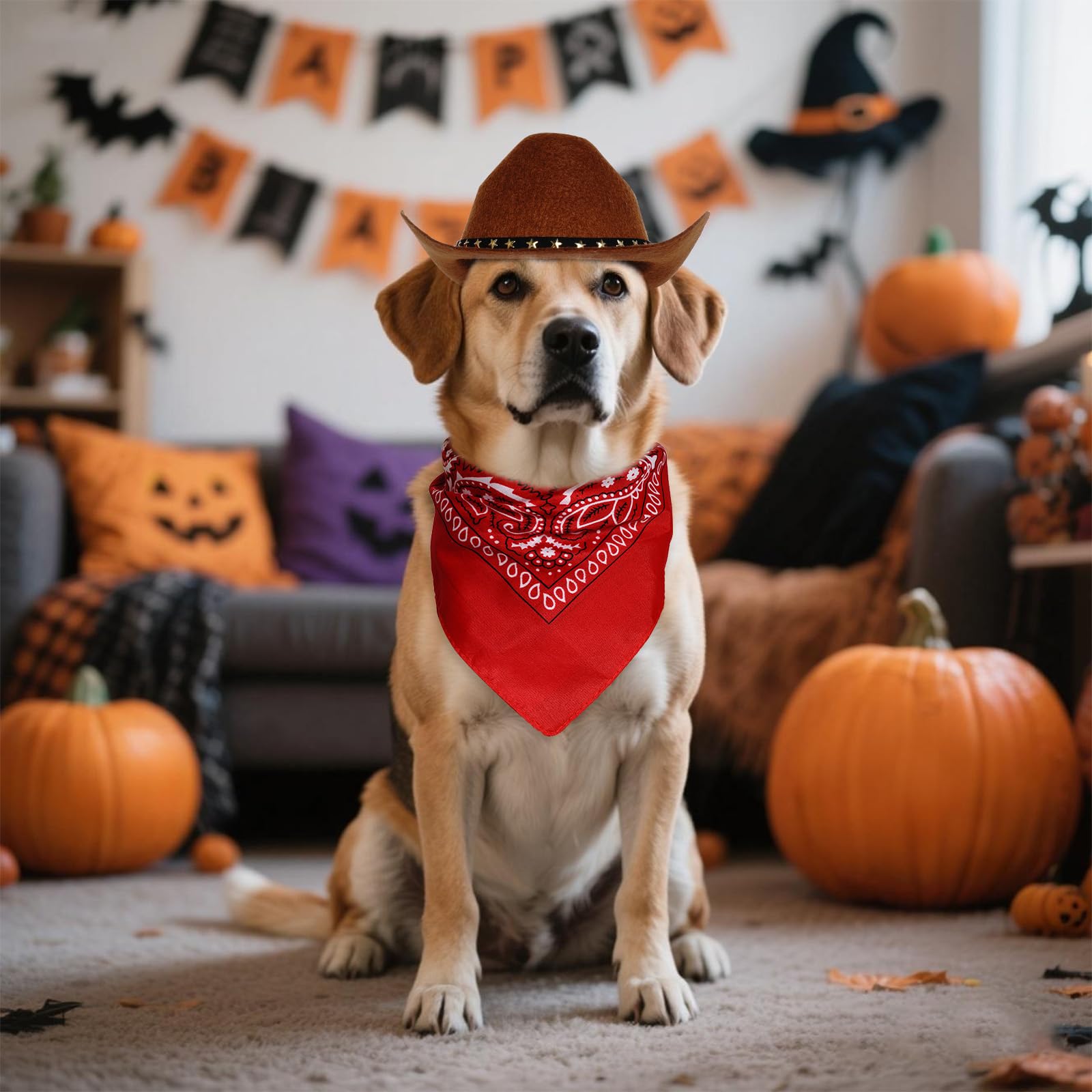 Choyaxo uso en fiestas temáticas, Halloween y Navidad.