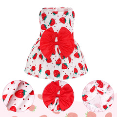 Vestido para perro con encaje de Choyaxo: diseño suave y cómodo.