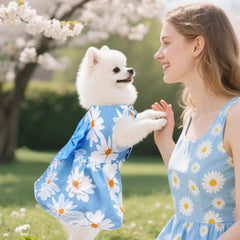 Vestidos para perros en colores rosa, rojo, amarillo y azul de Choyaxo.