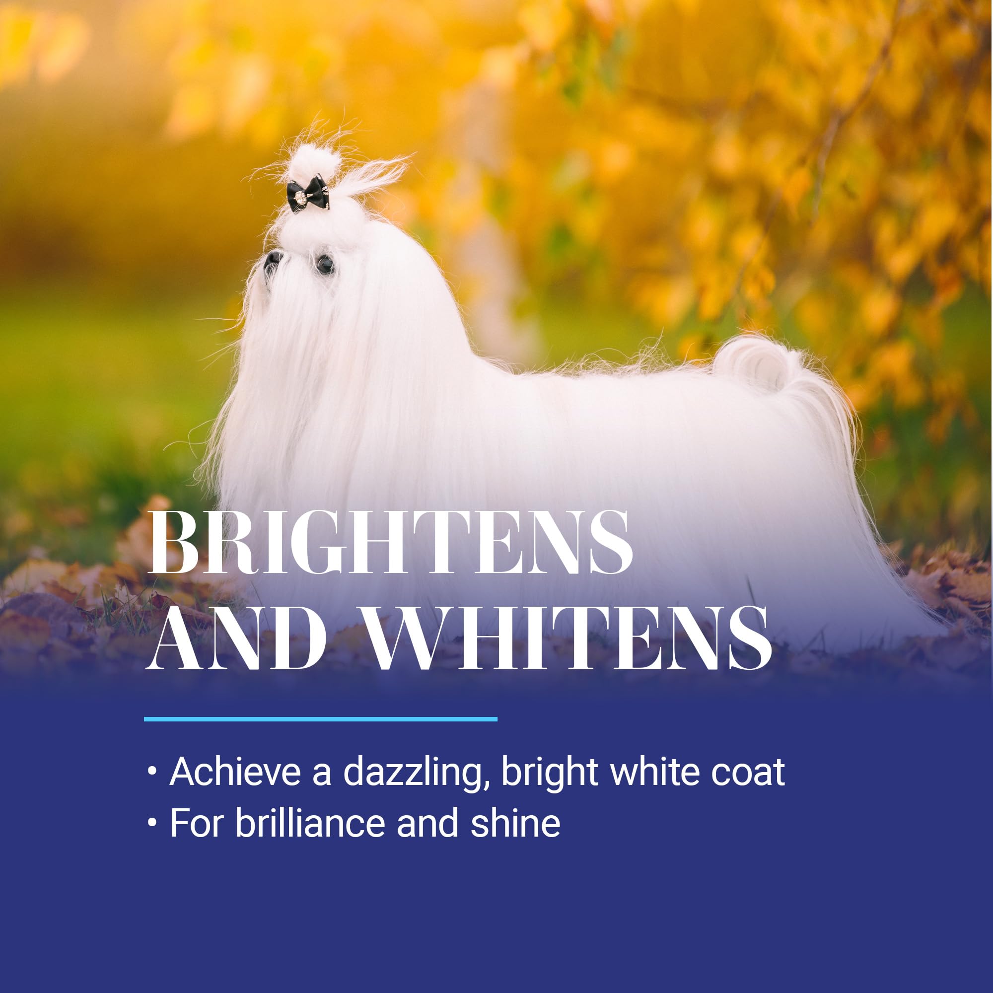 Pelo brillante tras usar White on White de Chris Christensen.