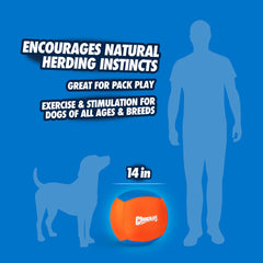 Chuckit! Big Air Bola para juego individual, perfecto para entrenamiento y diversión.