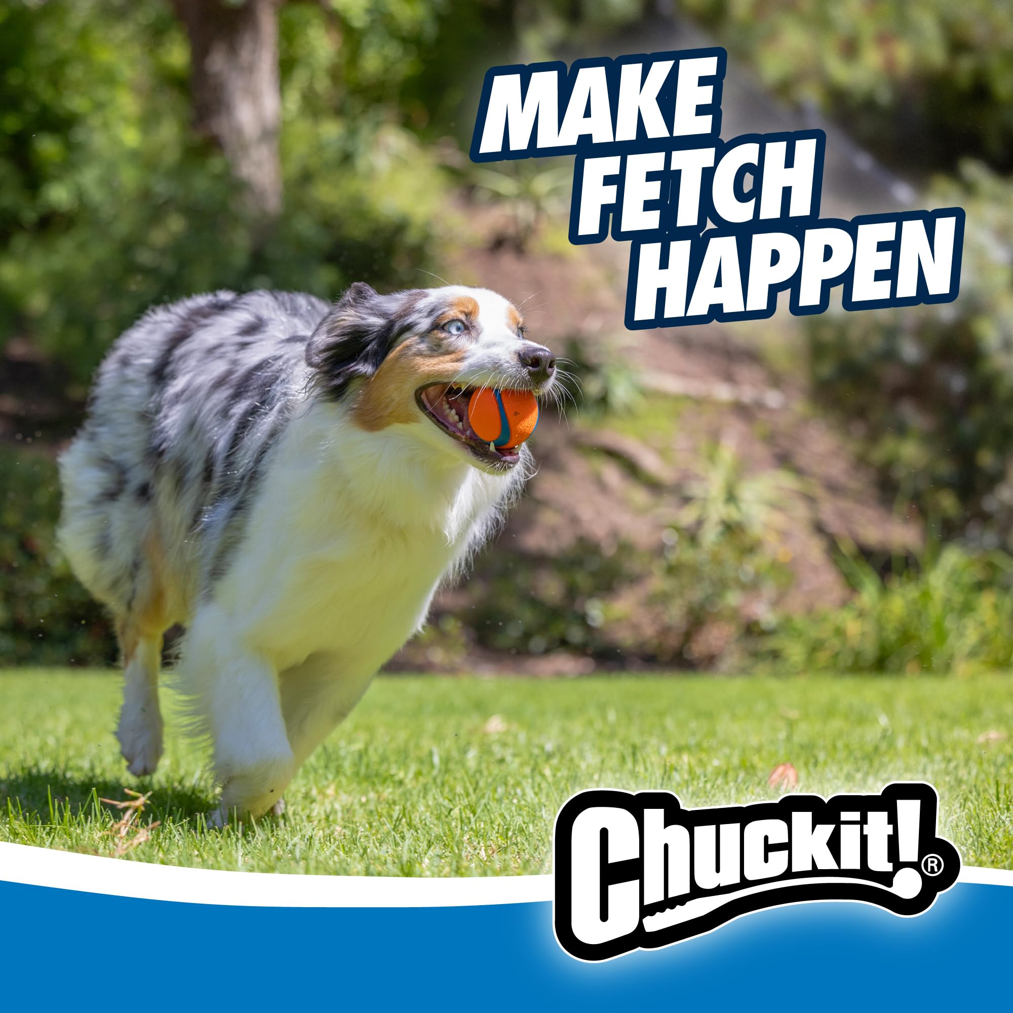 Bola Fetch de Chuckit! alto rebote para juegos de lanzar y atrapar.