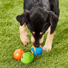 Chuckit! Fetch Medley: bola Strato para carreras y rebotes en césped.