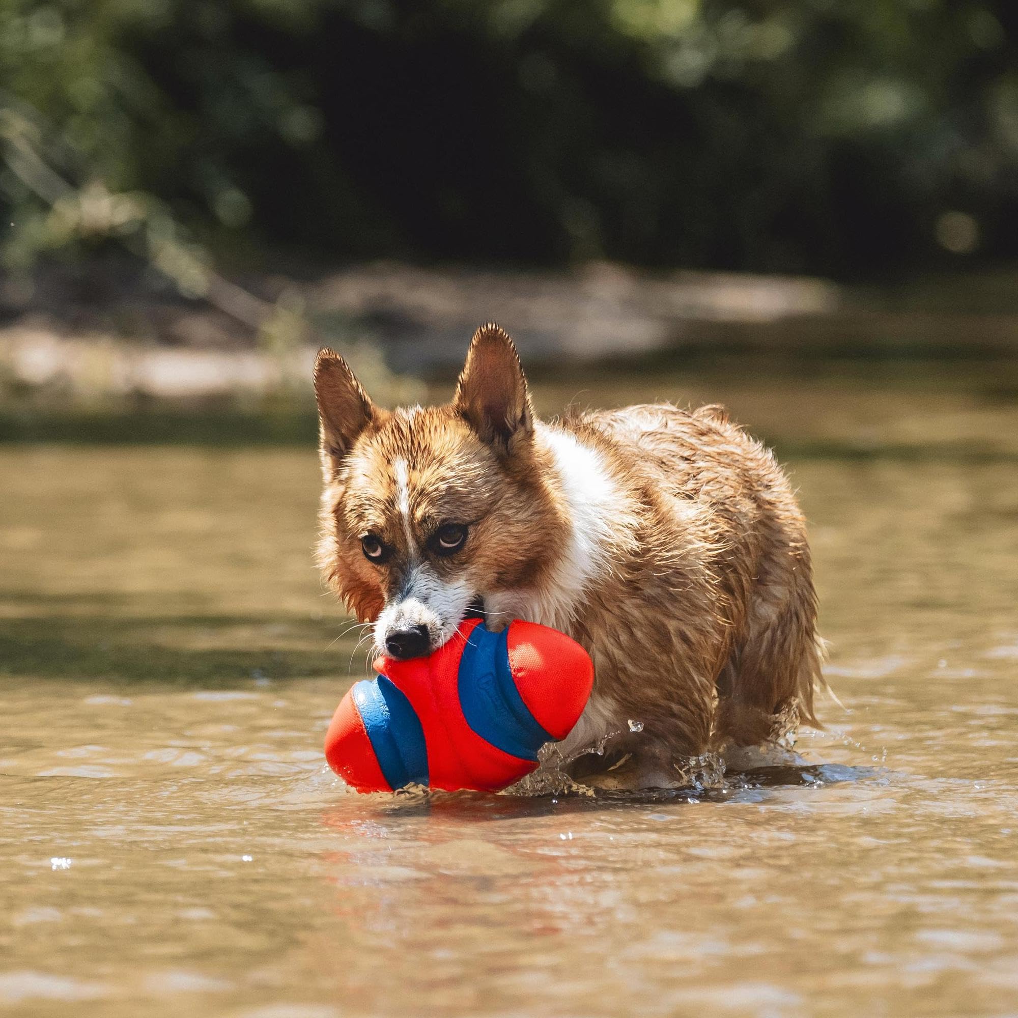 Chuckit! Fumble Fetch: goma duradera para juego prolongado
