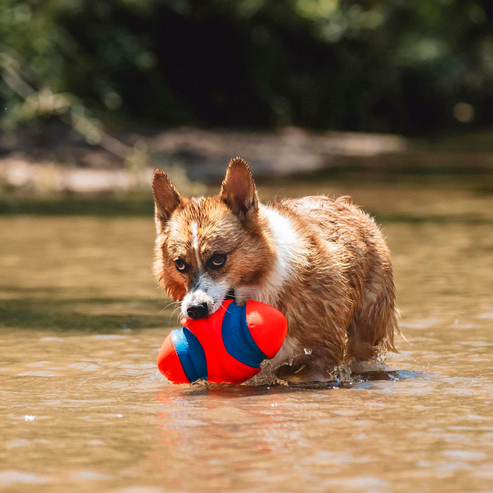 Chuckit! Fumble Fetch: goma duradera para juego prolongado