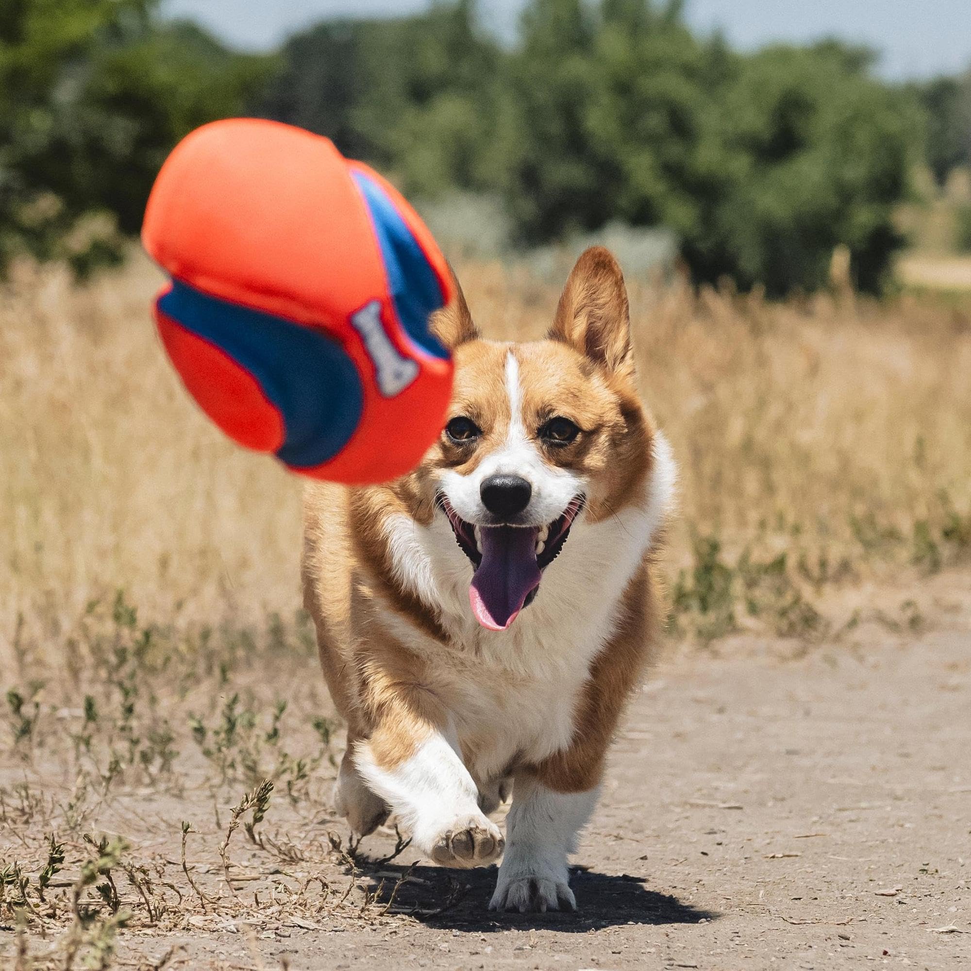 Chuckit! Fumble Fetch tamaño pequeño