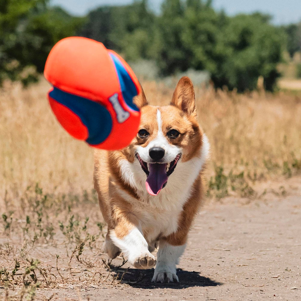 Chuckit! Fumble Fetch tamaño pequeño