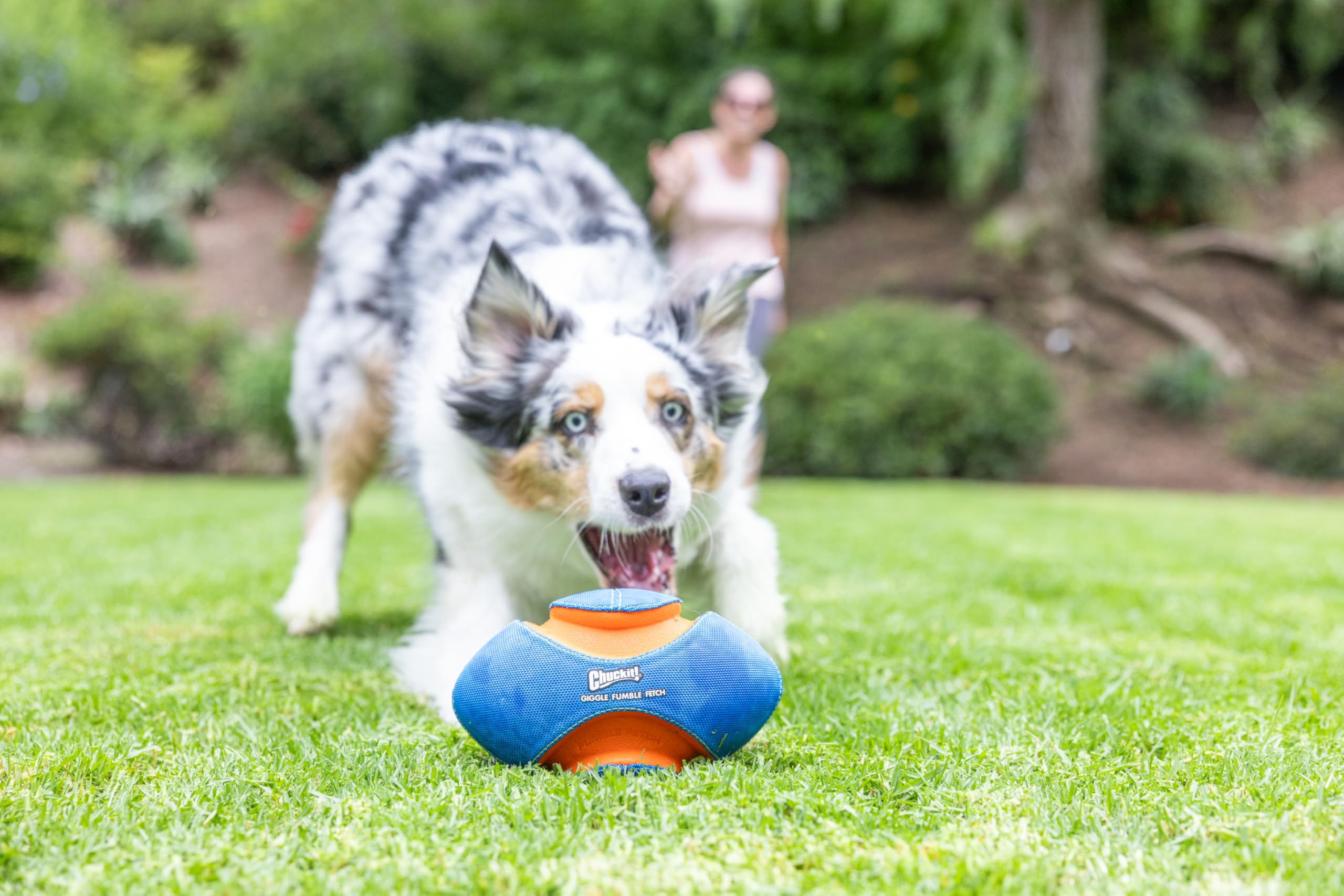Chuckit! Giggle Fumble, balón de 7.9 pulgadas para juegos prolongados
