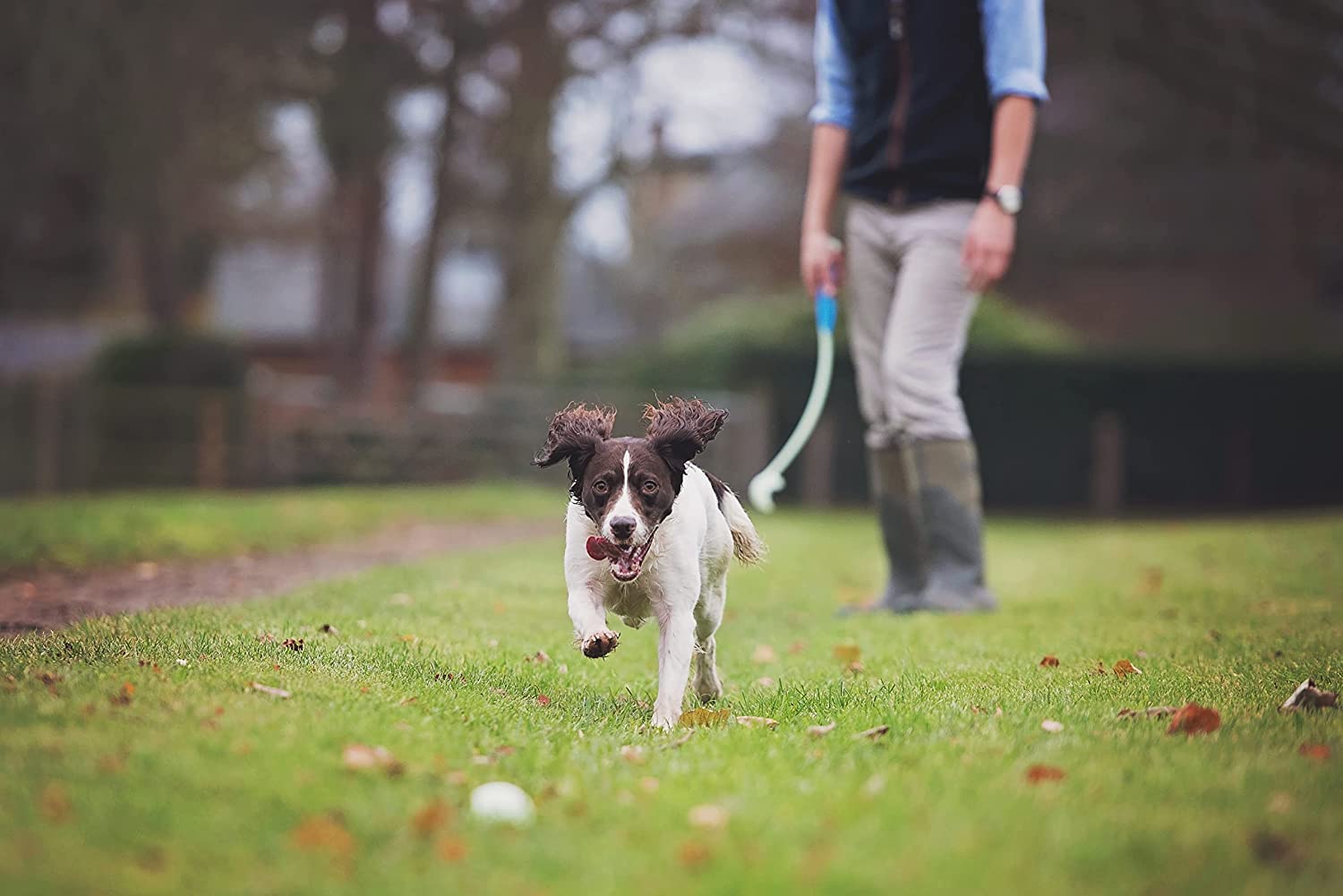 Chuckit! juguete para interior y exterior, perfecto para perros activos.