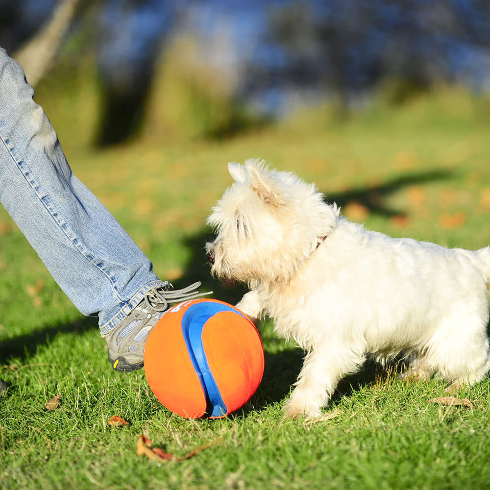 Chuckit Kick Fetch: flotante en agua, fácil recuperación durante la diversión acuática.