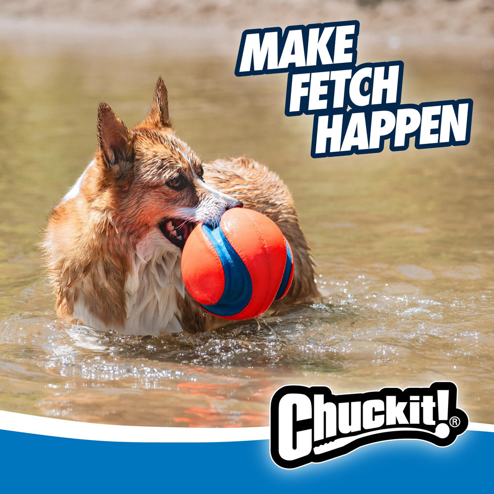 Chuckit Kick Fetch: material suave en boca, juego cómodo para sesiones largas.