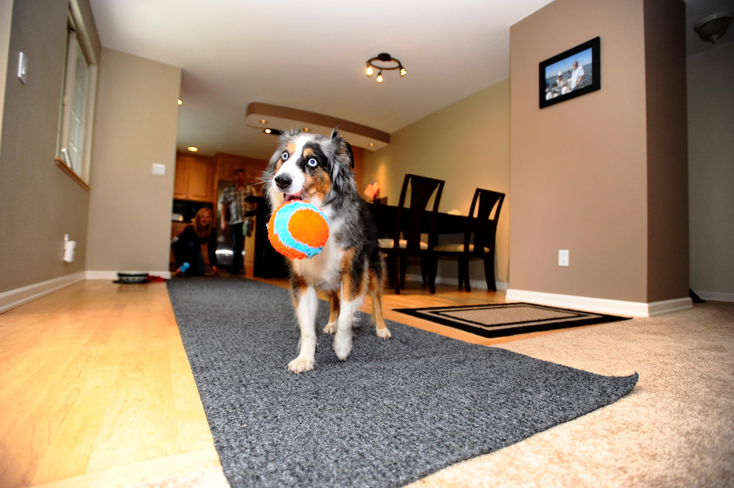 Bola Chuckit! para perros pequeños y grandes dentro de casa.