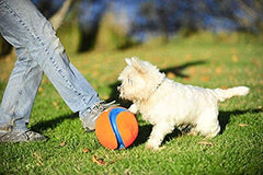 Chuckit Kick Fetch Ball flotando en agua para juegos acuáticos.
