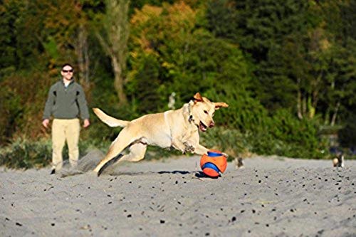 Tamaño pequeño de 14 cm, ideal para perros pequeños.