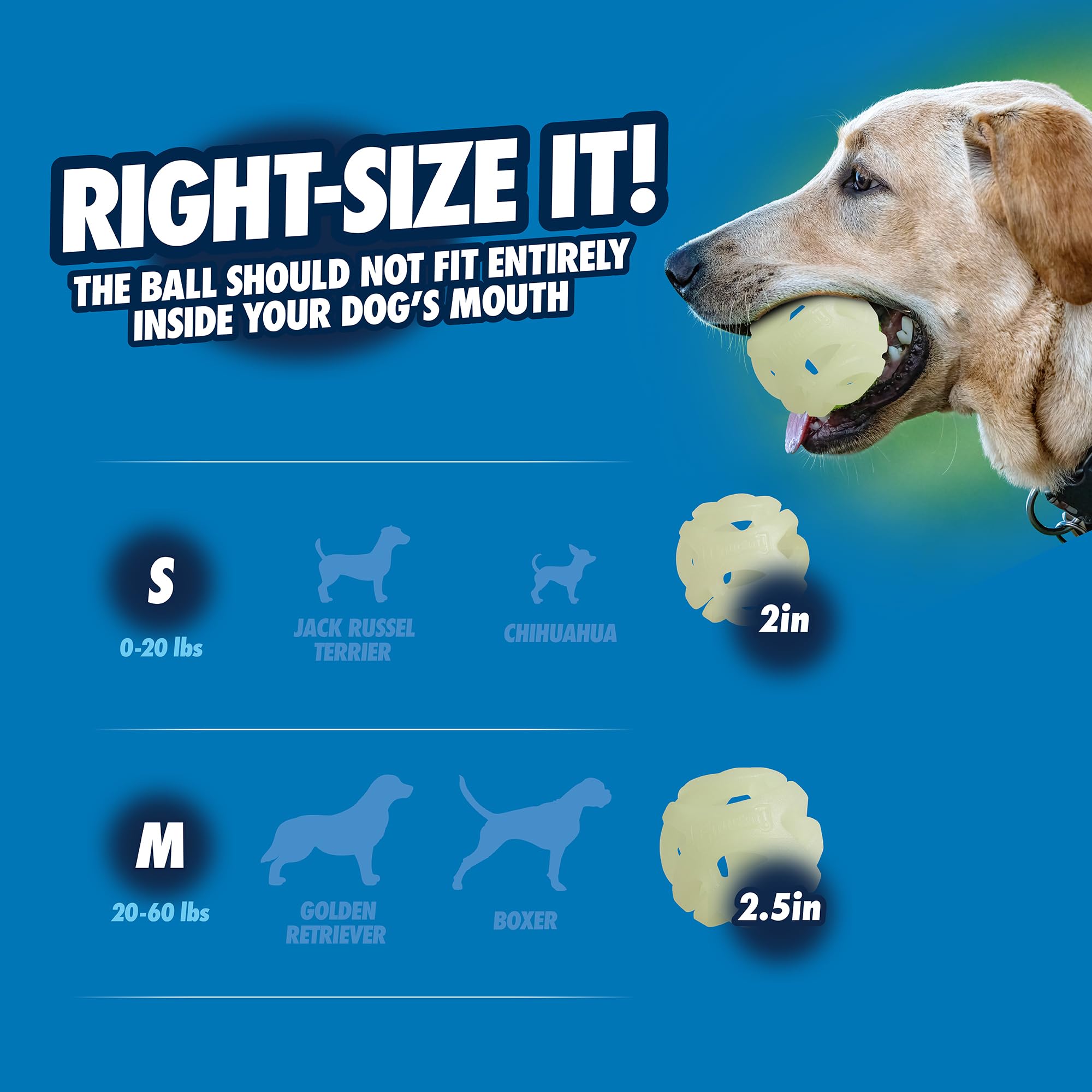 Chuckit! Pelota lumínosa para juego diario, mejora la interacción.