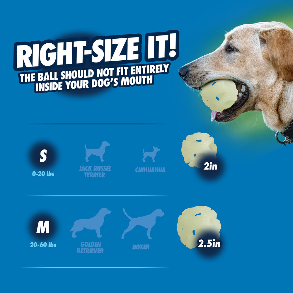 Chuckit! Pelota lumínosa para juego diario, mejora la interacción.