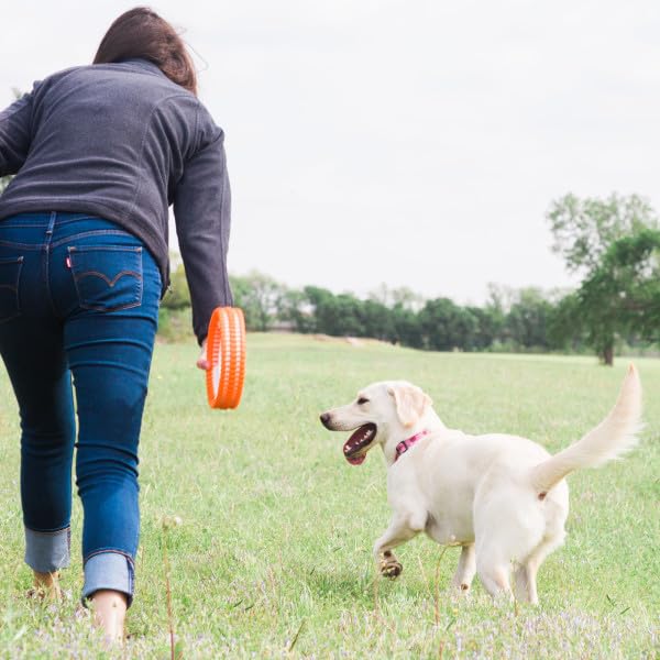 Chuckit! Rugged Fetch Wheel, uso en agua y tierra, diversión duradera para perros activos
