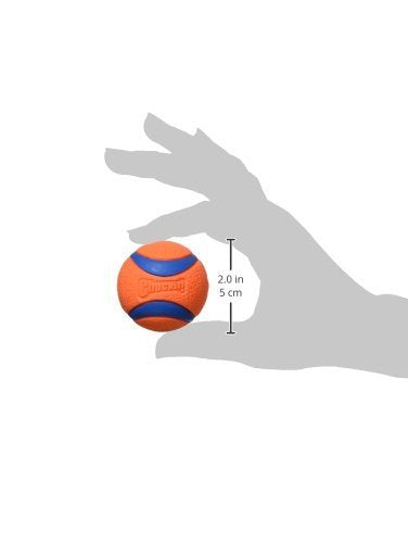 Bola Chuckit Ultra Ball en exterior para perros, juego al aire libre.