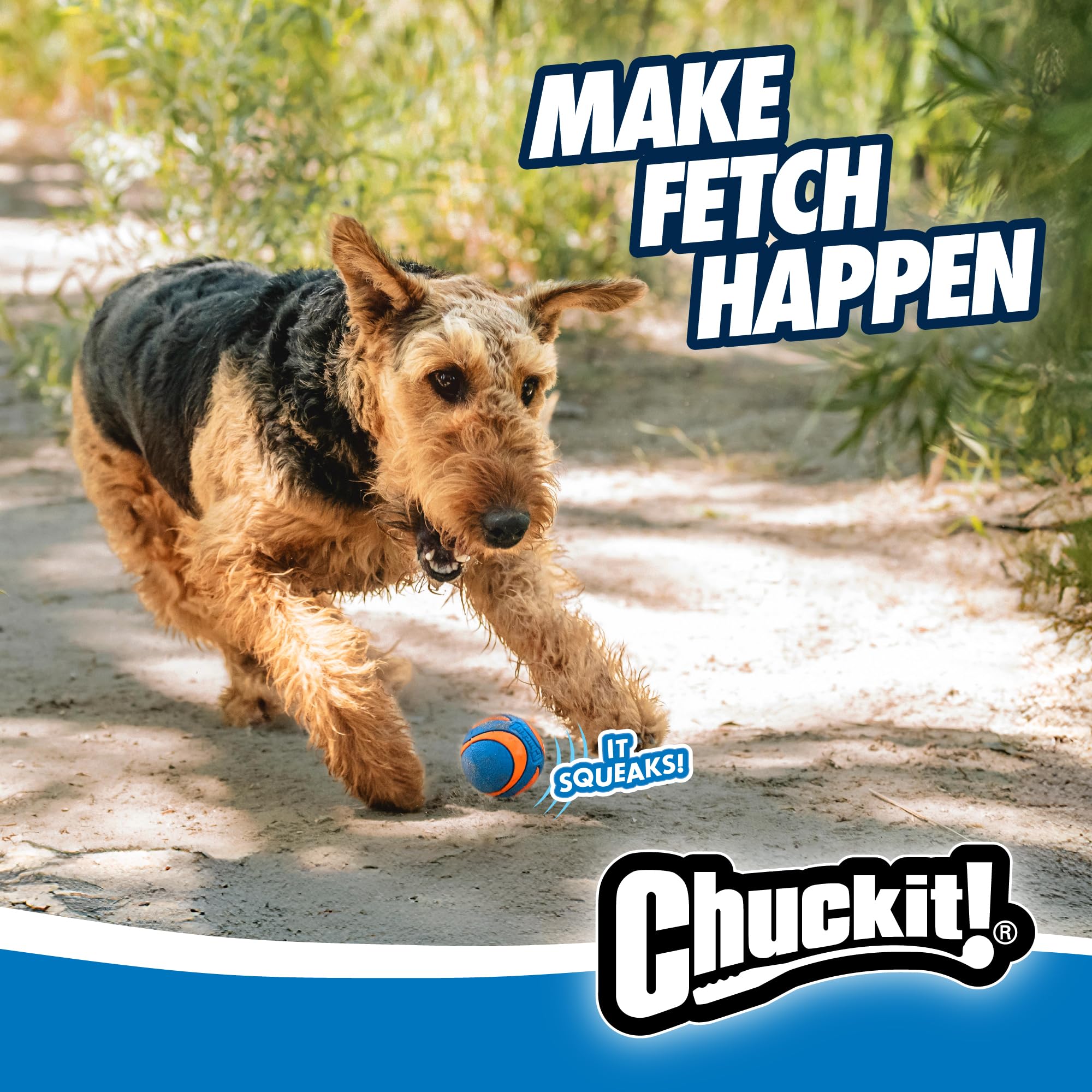 Chuckit! Ultra Squeaker, paquete de dos para más diversión.