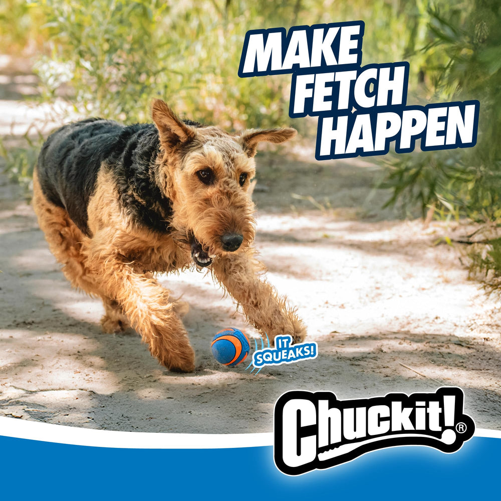 Chuckit! Ultra Squeaker, paquete de dos para más diversión.