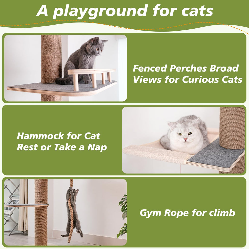 Chuiendi árbol gato con perchas variadas para escalada y descanso.