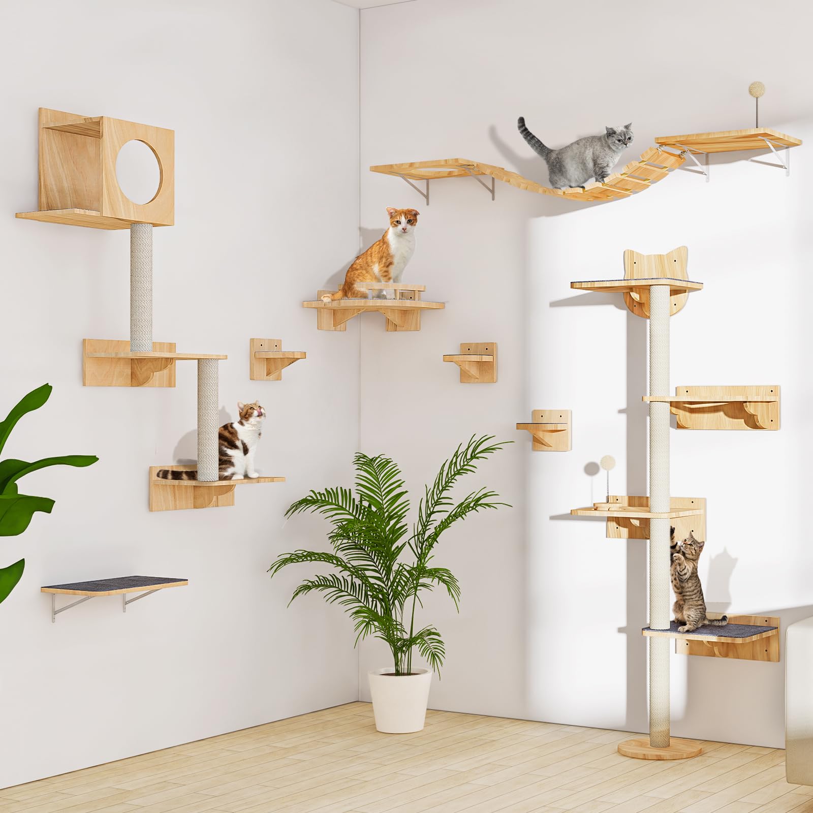 Chuiendi promueve juego y ejercicio diario, área vertical atractiva para tu gato.