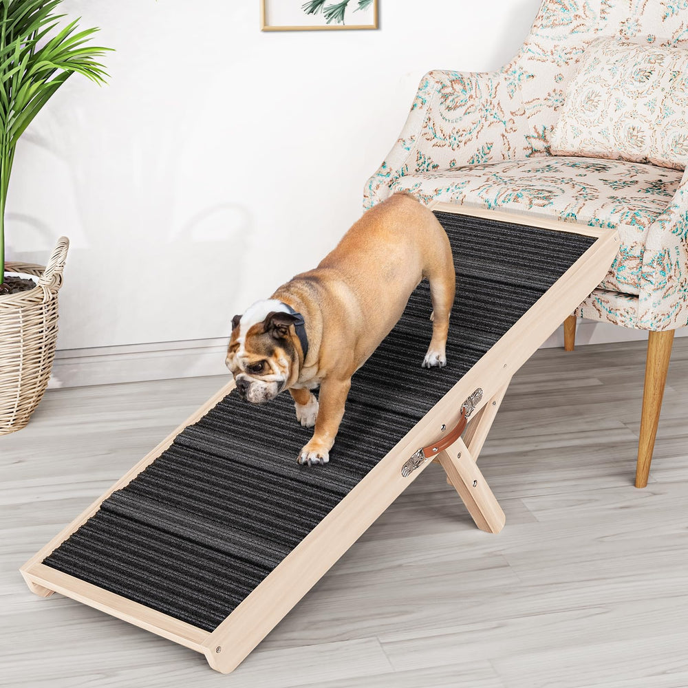 Rampa Chuiendi para perro sobre sofá, subida suave y estable.