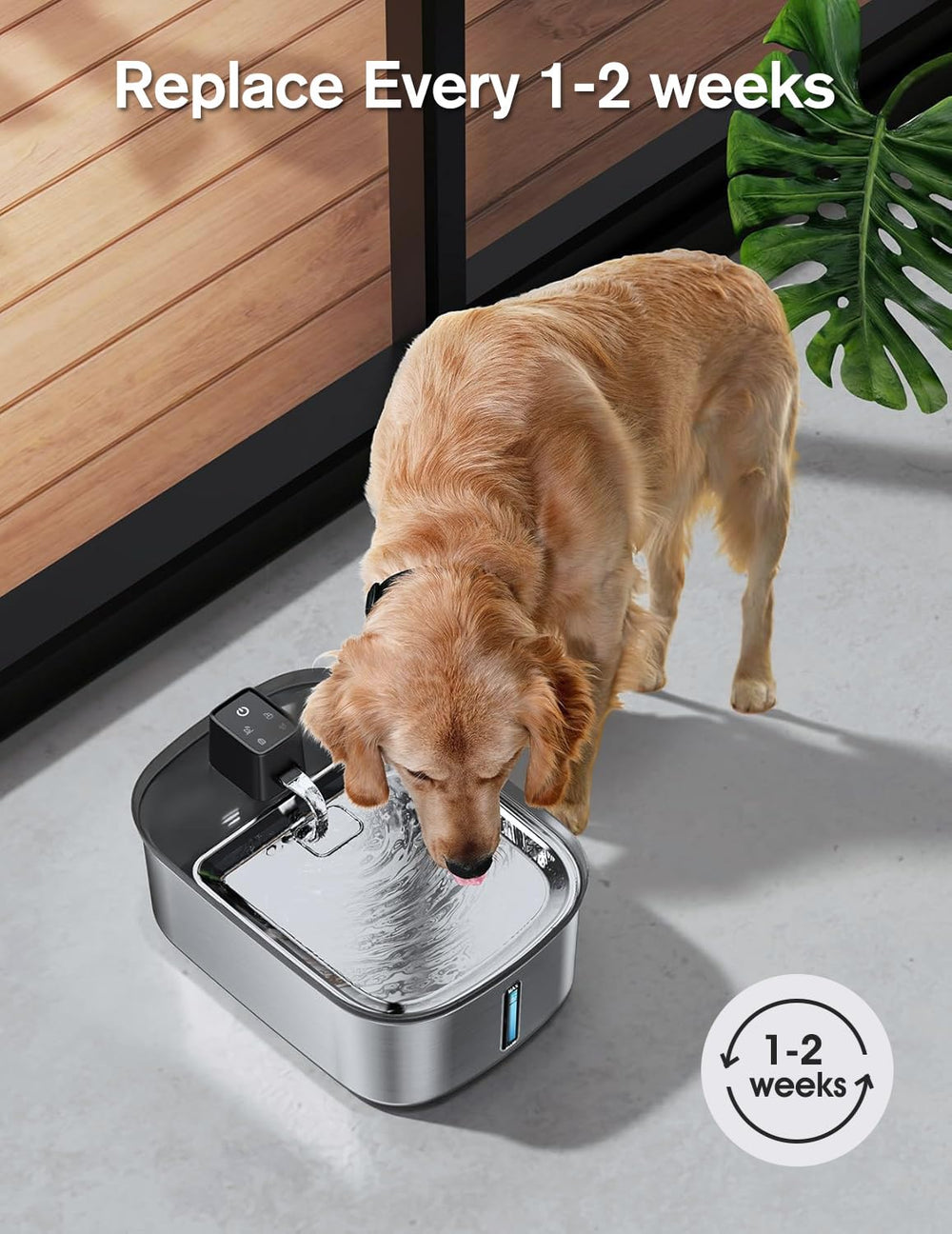 Accesorios Chumajor para fuente de perros, compatibles y fáciles de instalar