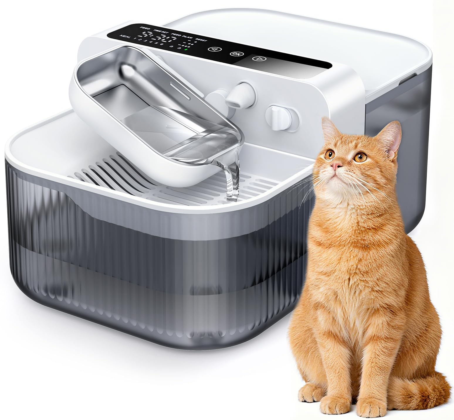 Chumajor uso diario: fomenta hidratación constante de gatos y perros