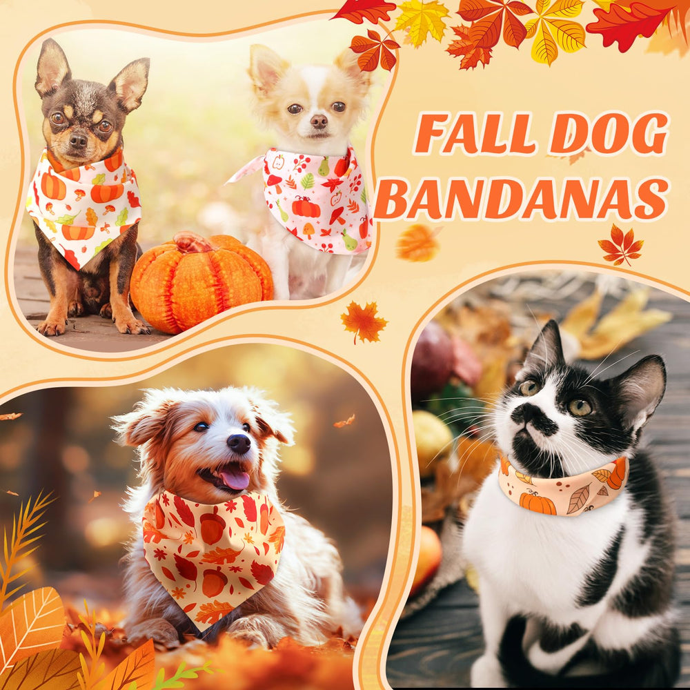 Chunful bandana para fiestas temáticas, añade encanto estacional.