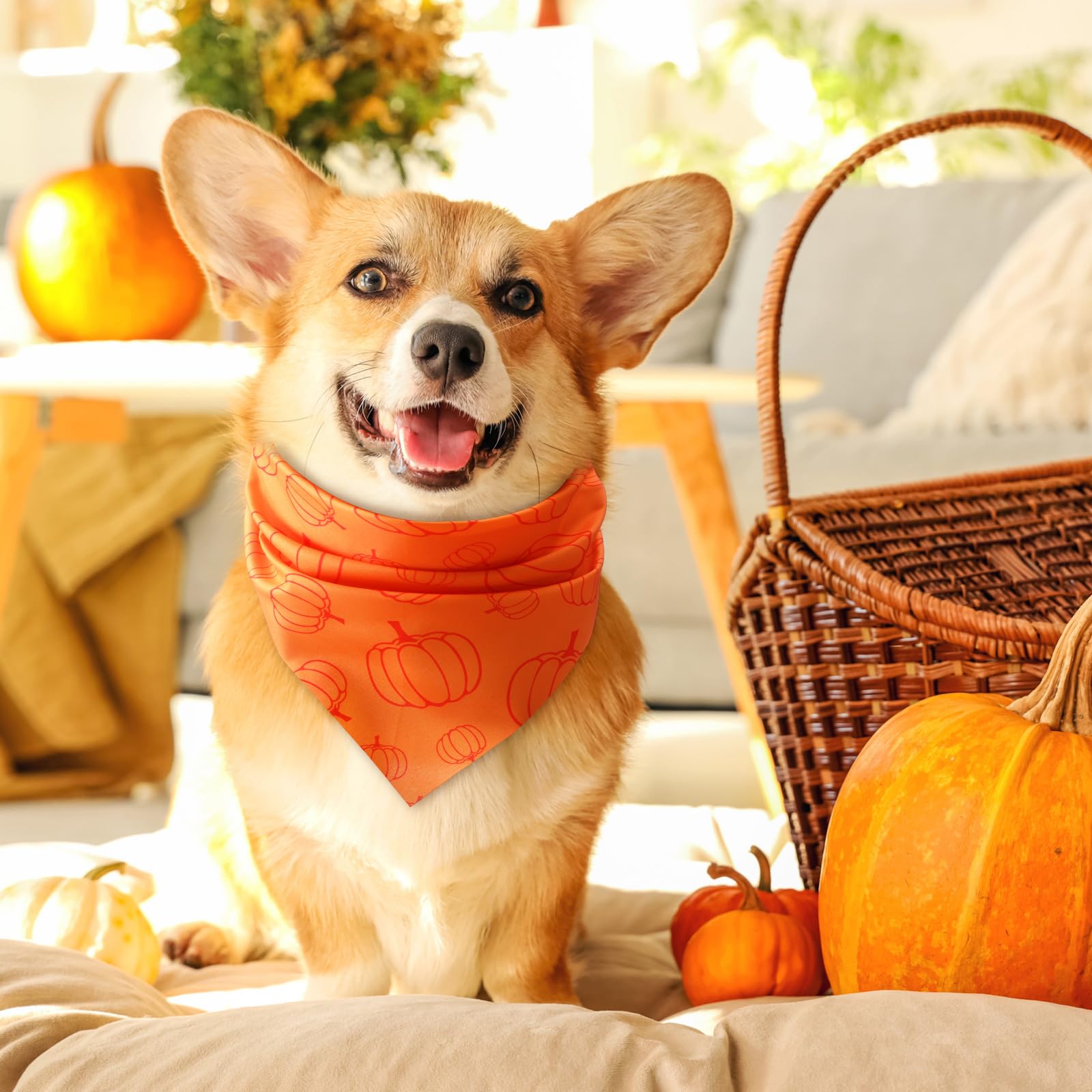 Chunful bandana para perros: patrón calabaza de otoño para eventos festivos.