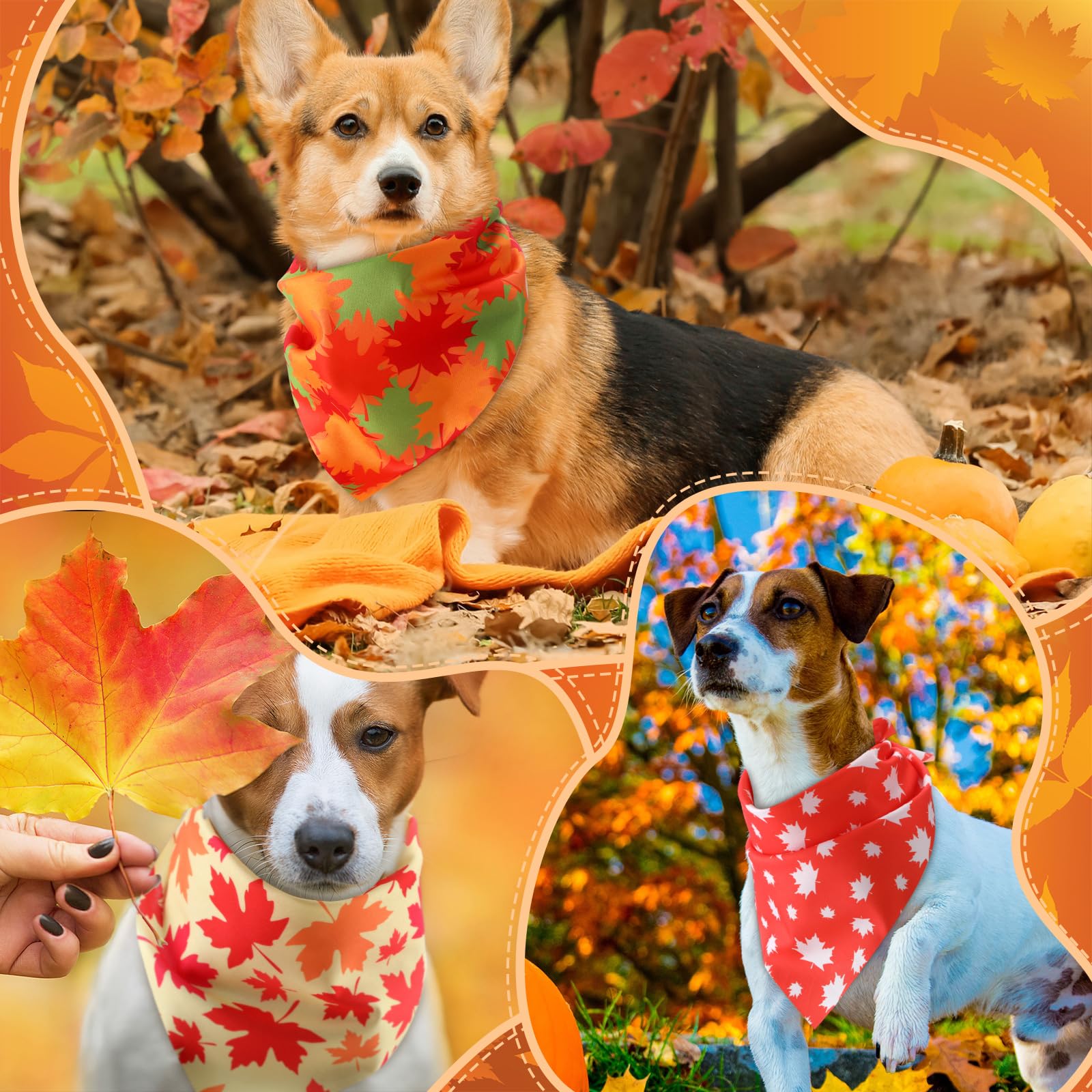 Chunful Bandanas Multicolor para mascotas, ideal para fiestas y retratos